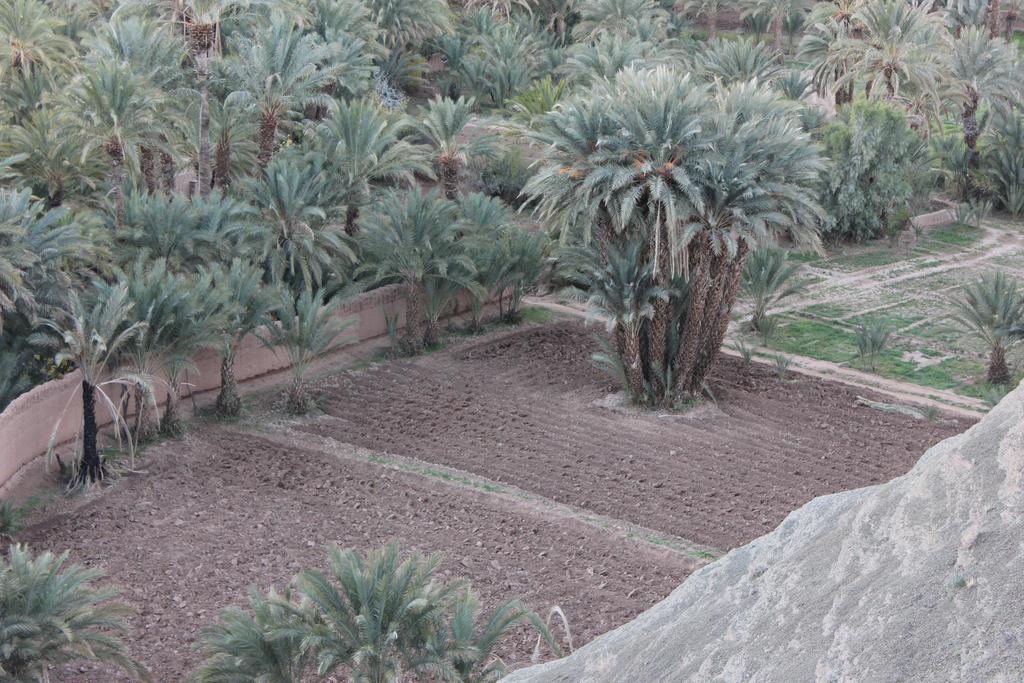 Kasbah Itrane Bed & Breakfast Tamnougalt Exterior photo